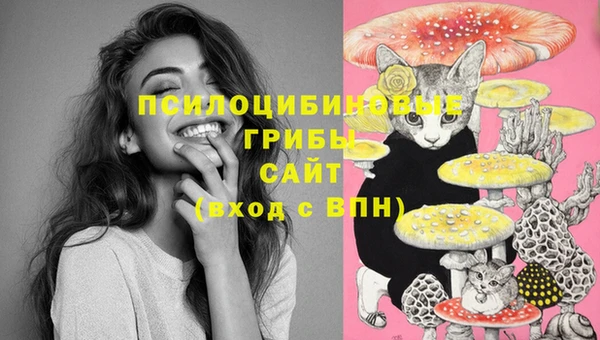 мескалин Беломорск