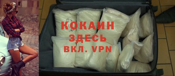 бошки Белокуриха