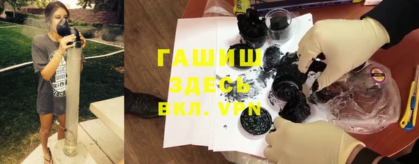 бошки Белокуриха
