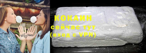 бошки Белокуриха